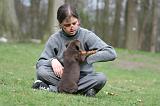 ENFANT ET CHIEN 473